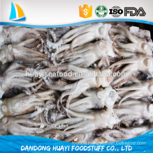 newly arrived fresh frozen squid head with healthy seafood